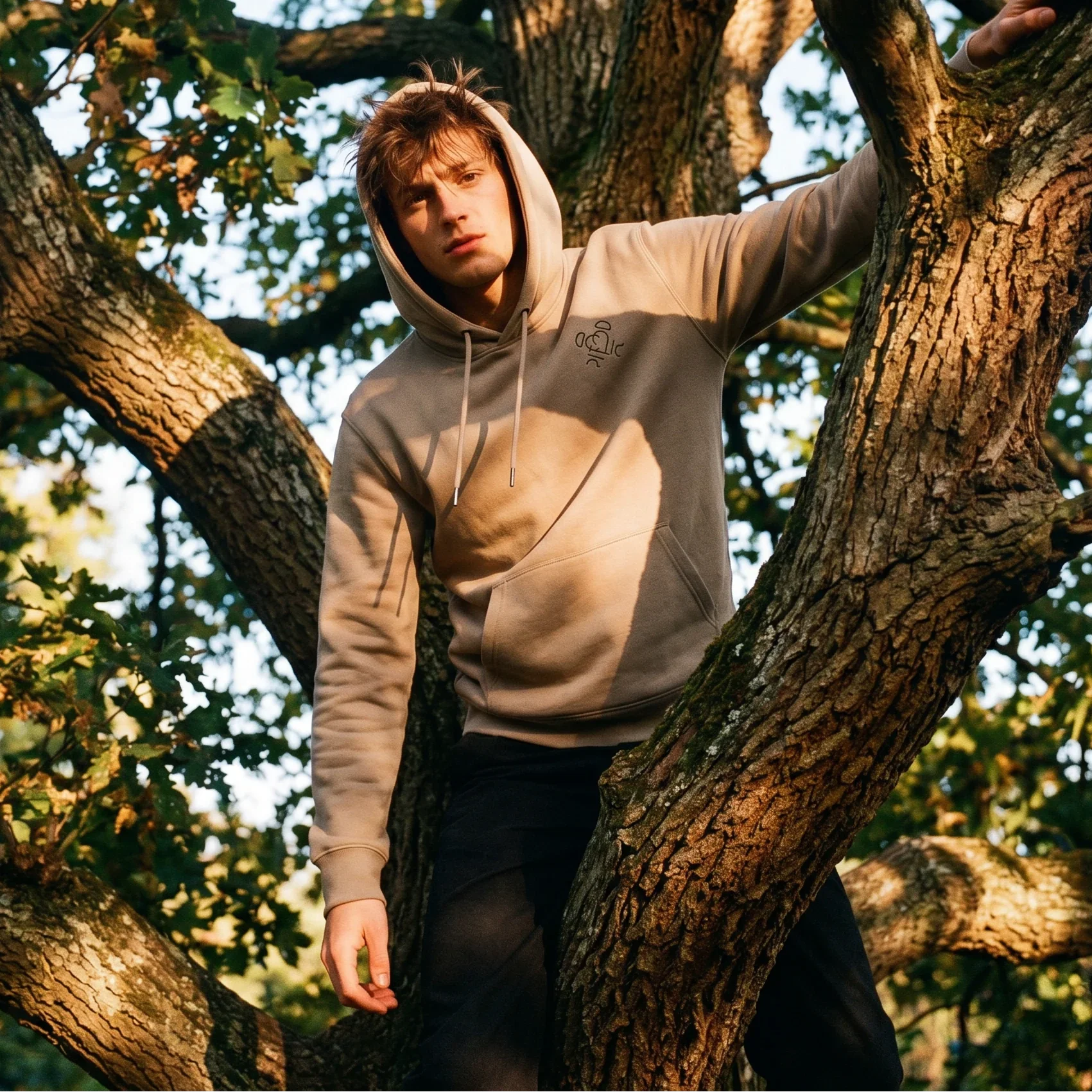 Person wearing a hoodie sitting in a tree with natural light
